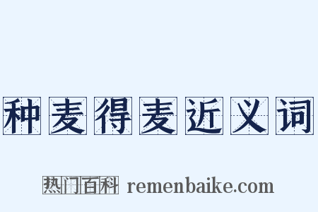 种麦得麦近义词是什么意思的图片